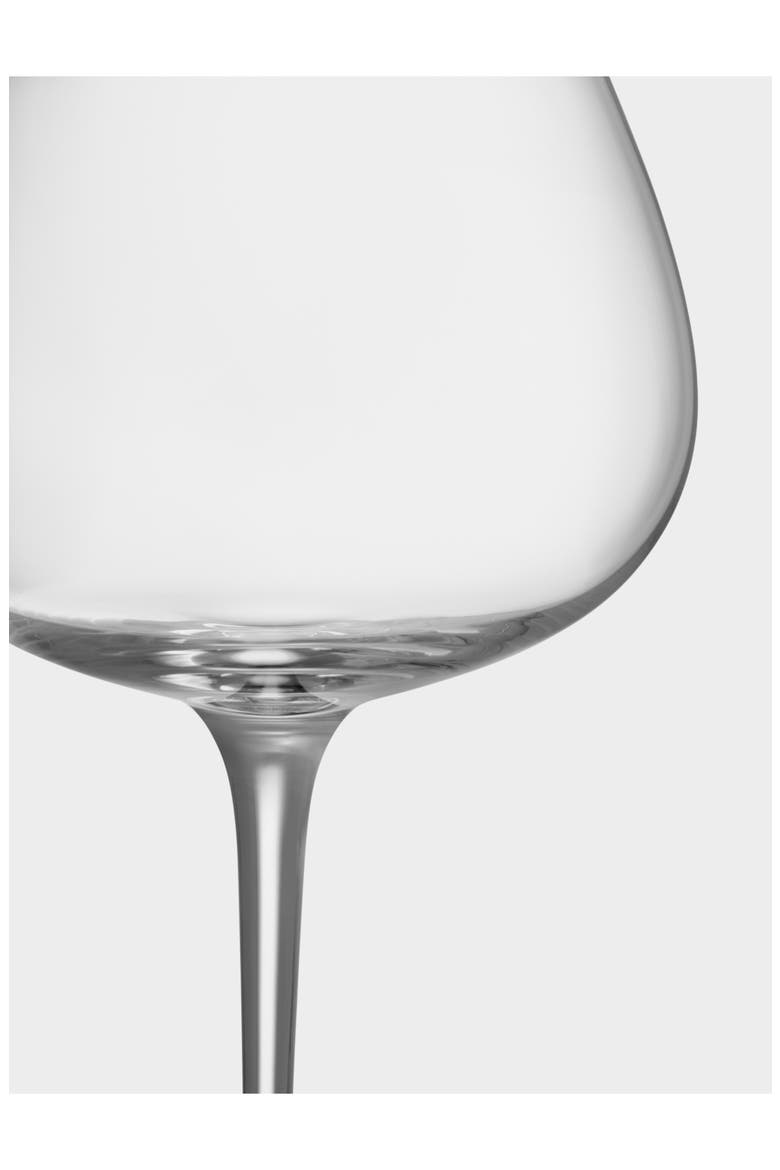 Aroma Copa Set of 4 Gin & Tonic Glasses, Alternate, color, CLEAR