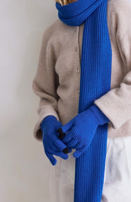 Arctic Fox & Co. Arctic Fox & Co The Recycled Bottle Gloves In Blue