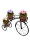 Flower Pot Tricycle Display Stand