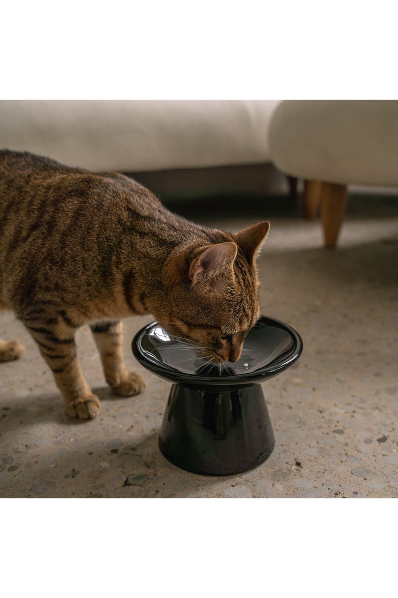 Flat Top Ceramic Bowl For Cats Black 7.5oz Capacity, Alternate, color, Black