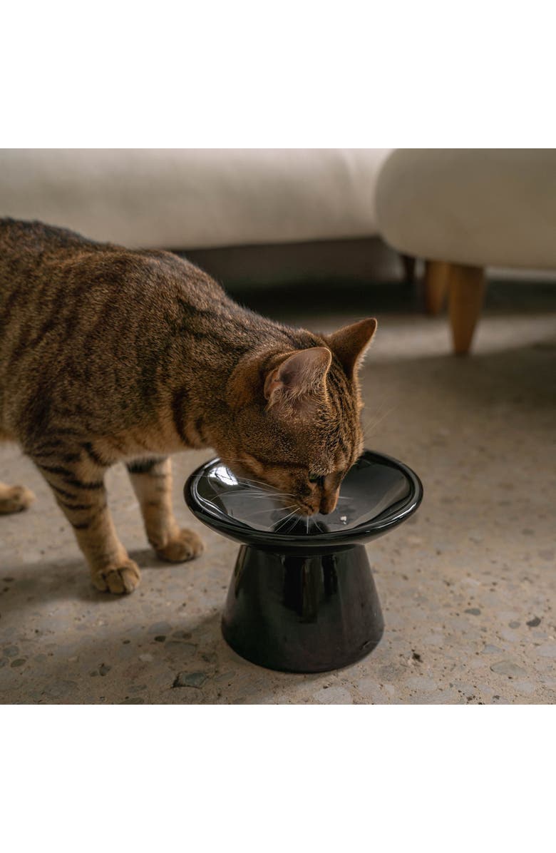 Dexypaws Flat Top Ceramic Bowl For Cats Black 7.5oz Capacity, Alternate, color, Black