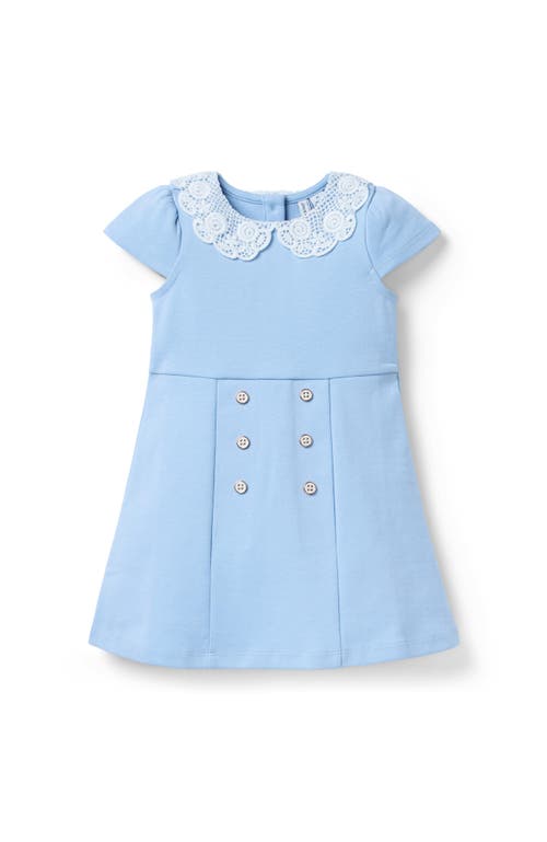 Janie And Jack Lace Collar Ponte Dress In Blue