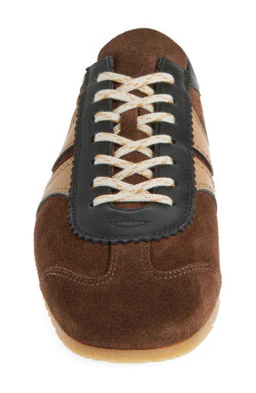 Shop Dries Van Noten Dustin Sneaker In Dark Brown