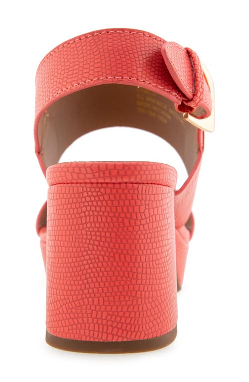 AEROSOLES AEROSOLES CAMILIA PLATFORM SANDAL