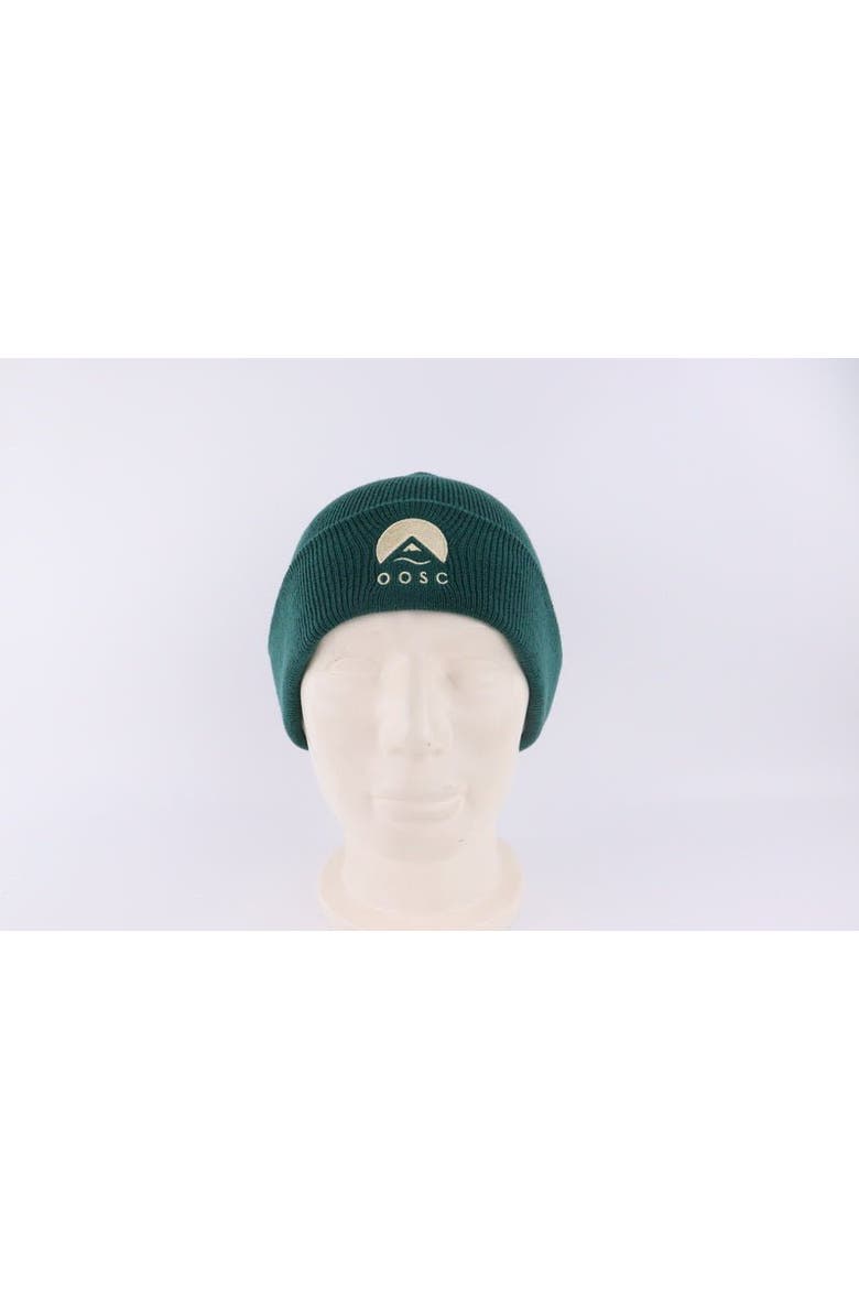 Classique Beanie - Forest Green, Alternate, color, Forest Green
