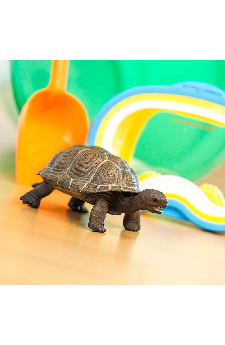 Safari Ltd. Tortoise Baby Toy, Alternate, color, NO COLOR