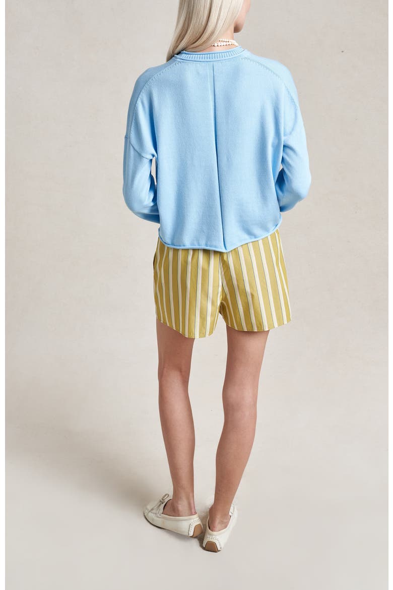Cotton Dominick Sweater, Alternate, color, Light Blue