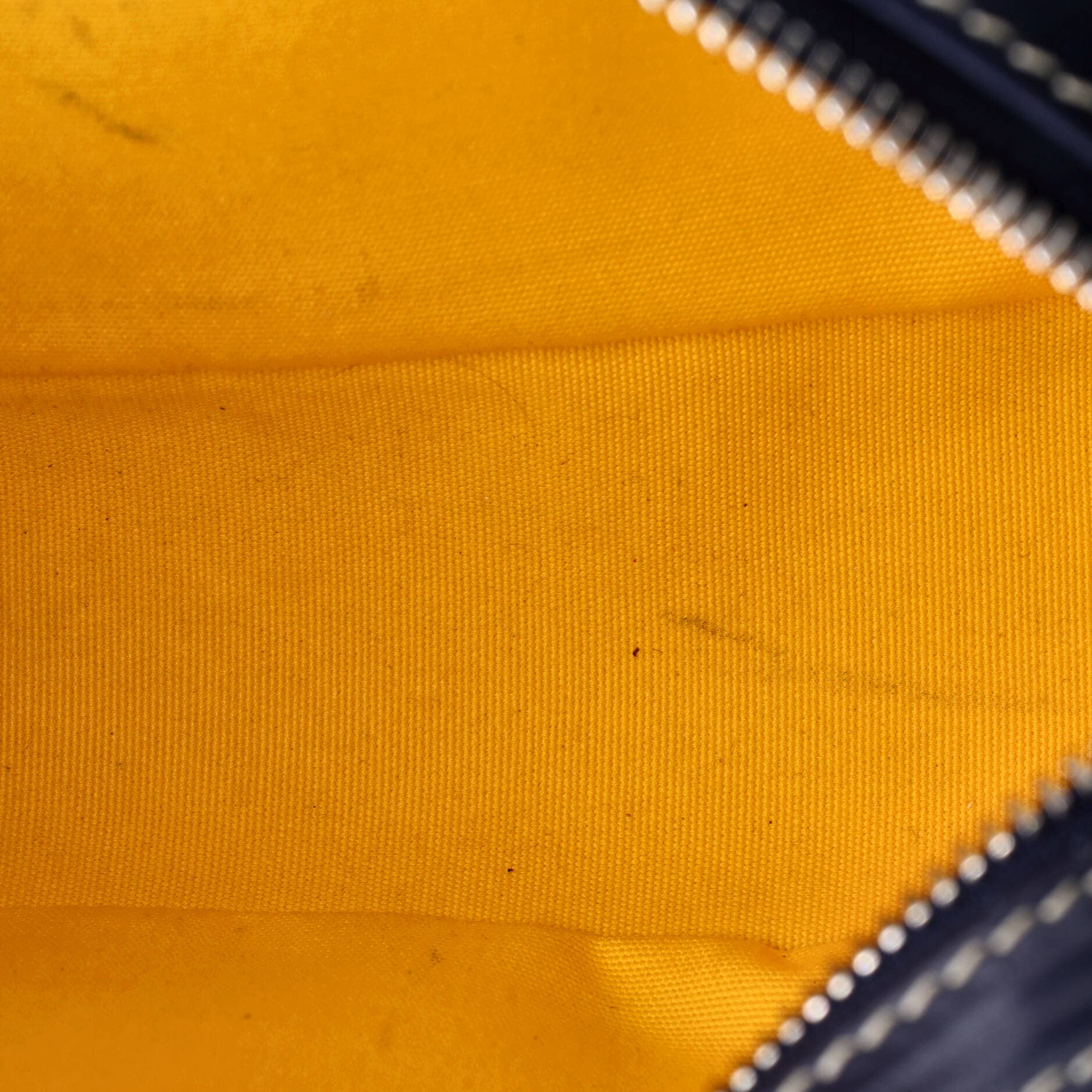 Pre-Owned Goyard Cap Vert Bag Coated Canvas, Alternate, color, Blue