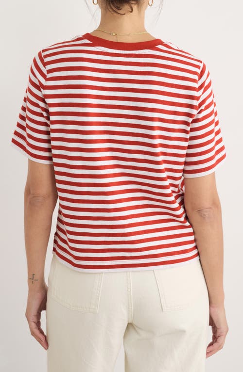 Shop Seasalt Cornwall Copseland Stripe Organic Cotton T-shirt In Cornish Chalk Dark Cinnamon