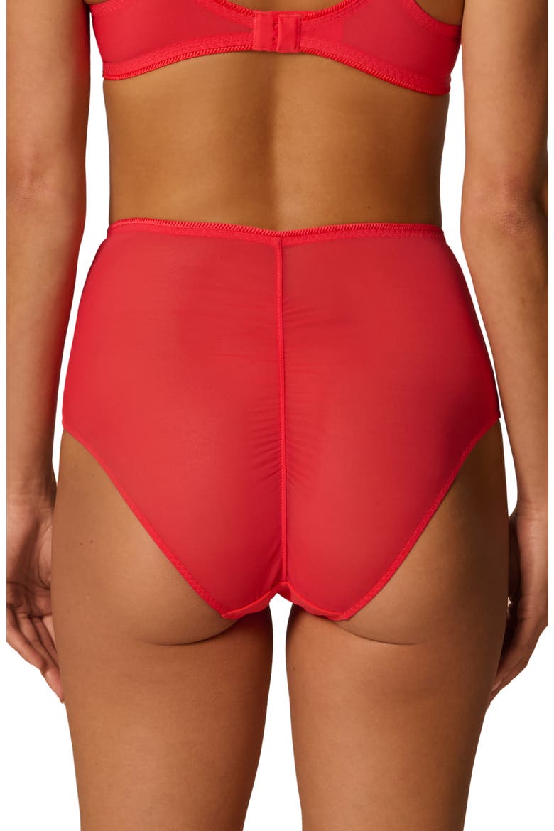 Radieuse High Waist Briefs, Alternate, color, FLAMINGO