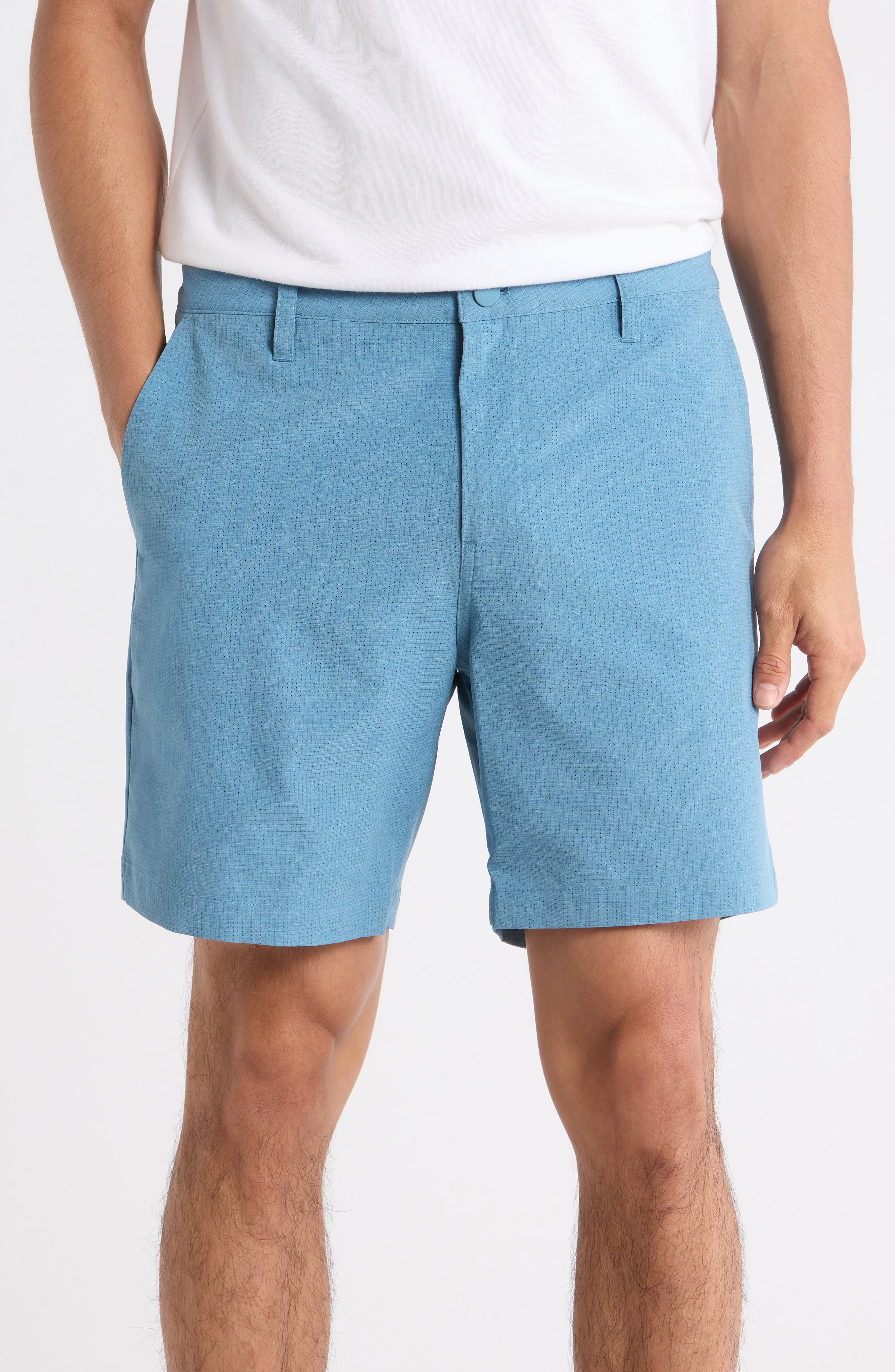 BLUE PROVINCIAL
