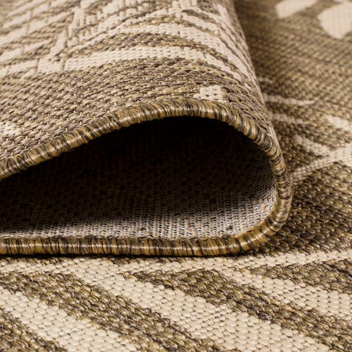 Jonathan Y Nevis Palm Frond Indoor/outdoor Round Area Rug In Brown/beige