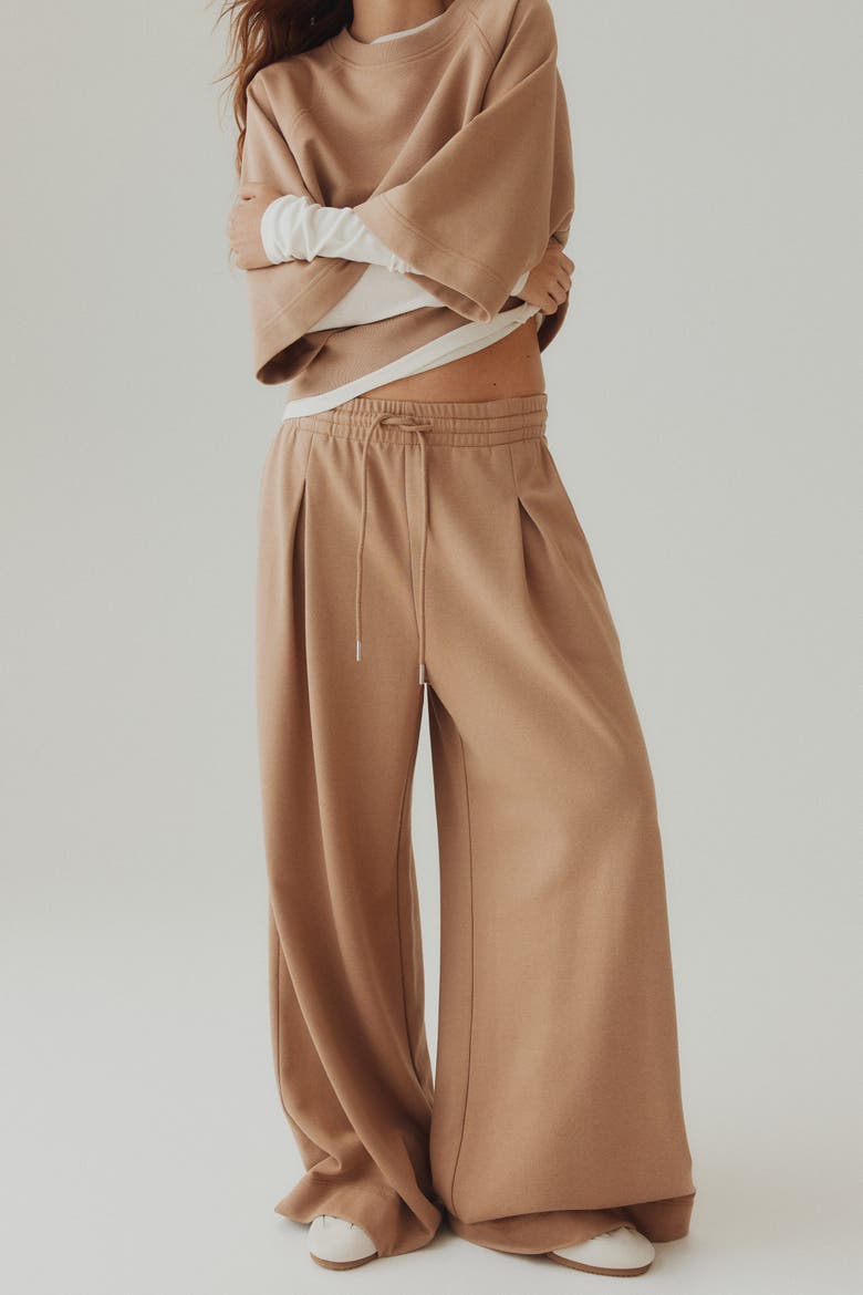 Pleat-detail Drawstring Trousers, Alternate, color, Dark beige