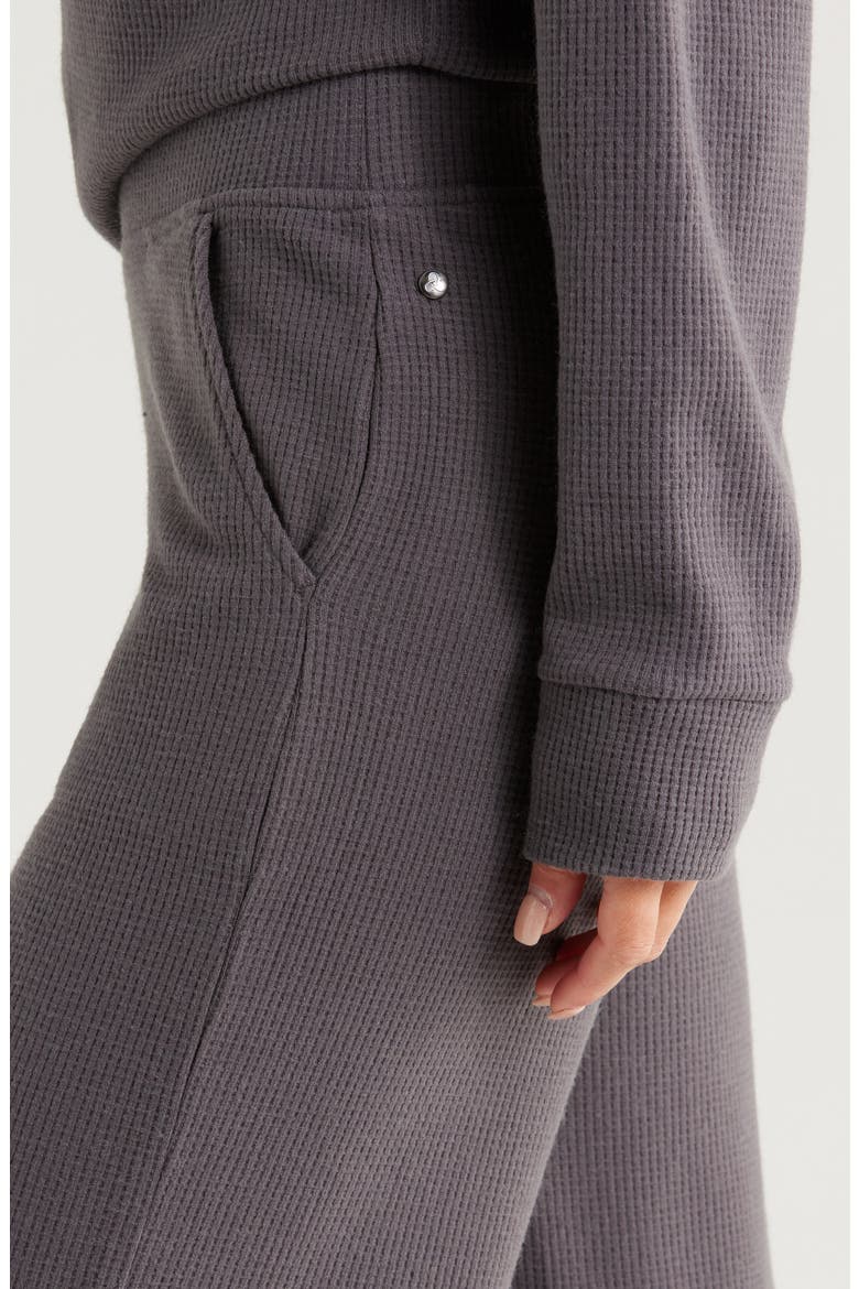 Cozy Waffle Knit Pants, Alternate, color, GREY FORGED