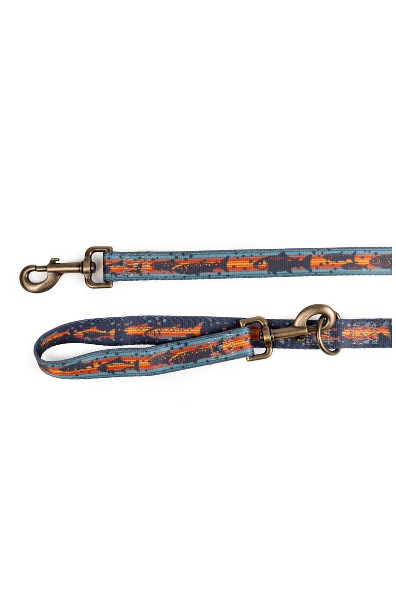 Adventure Dog Leash, Alternate, color, SALMON FALLS