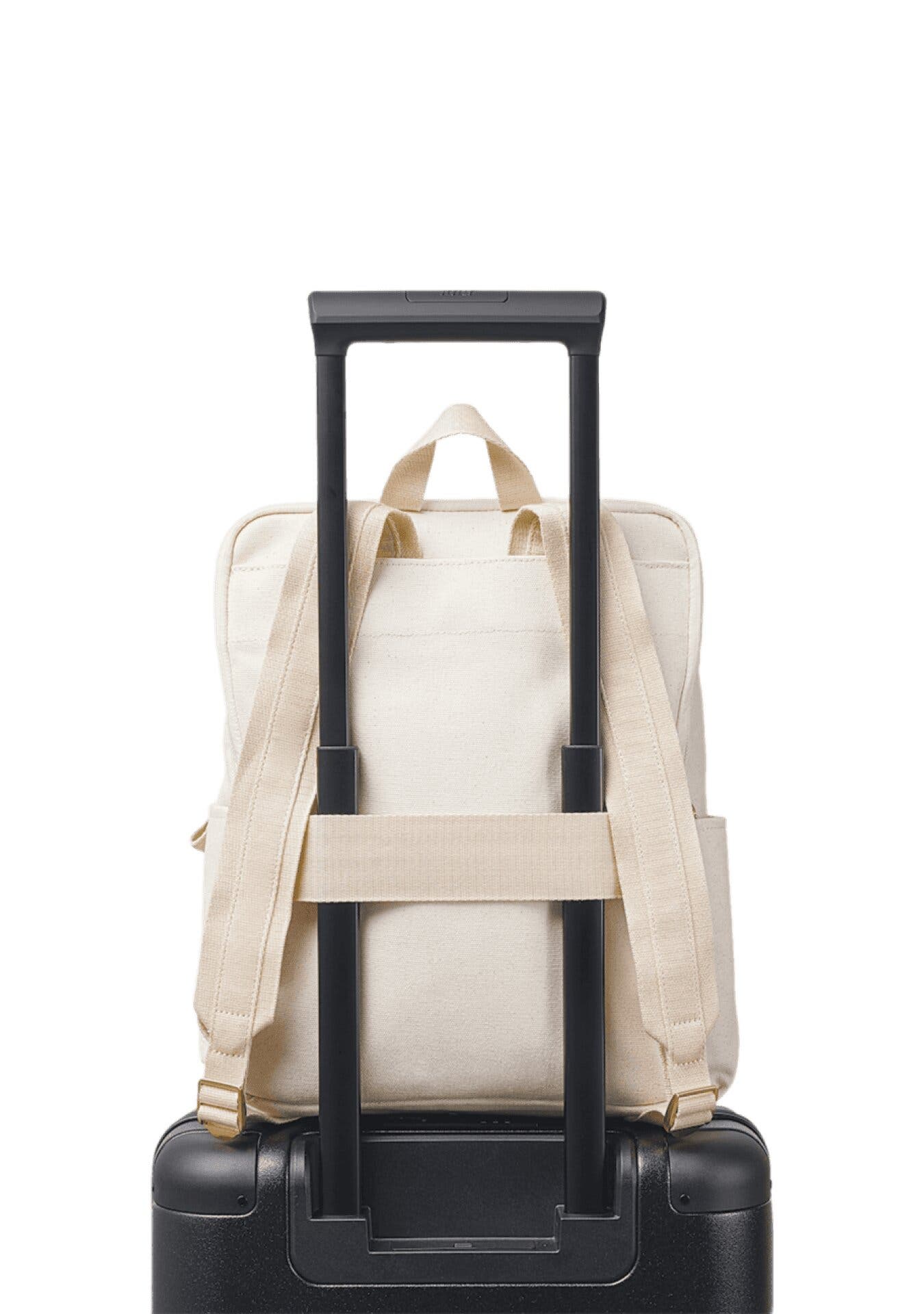 Everyday Backpack, Alternate, color, Natural