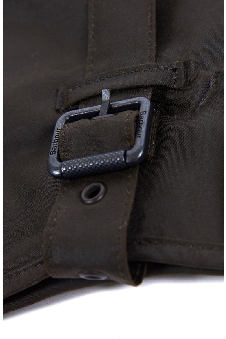 Matt Waxed Cotton Dog Coat, Alternate, color, OLIVE