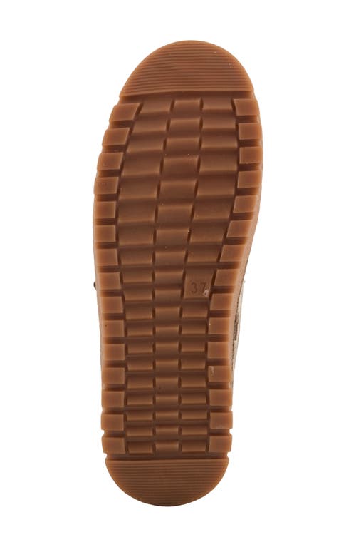 Spring Step Lauria Sneaker In Brown