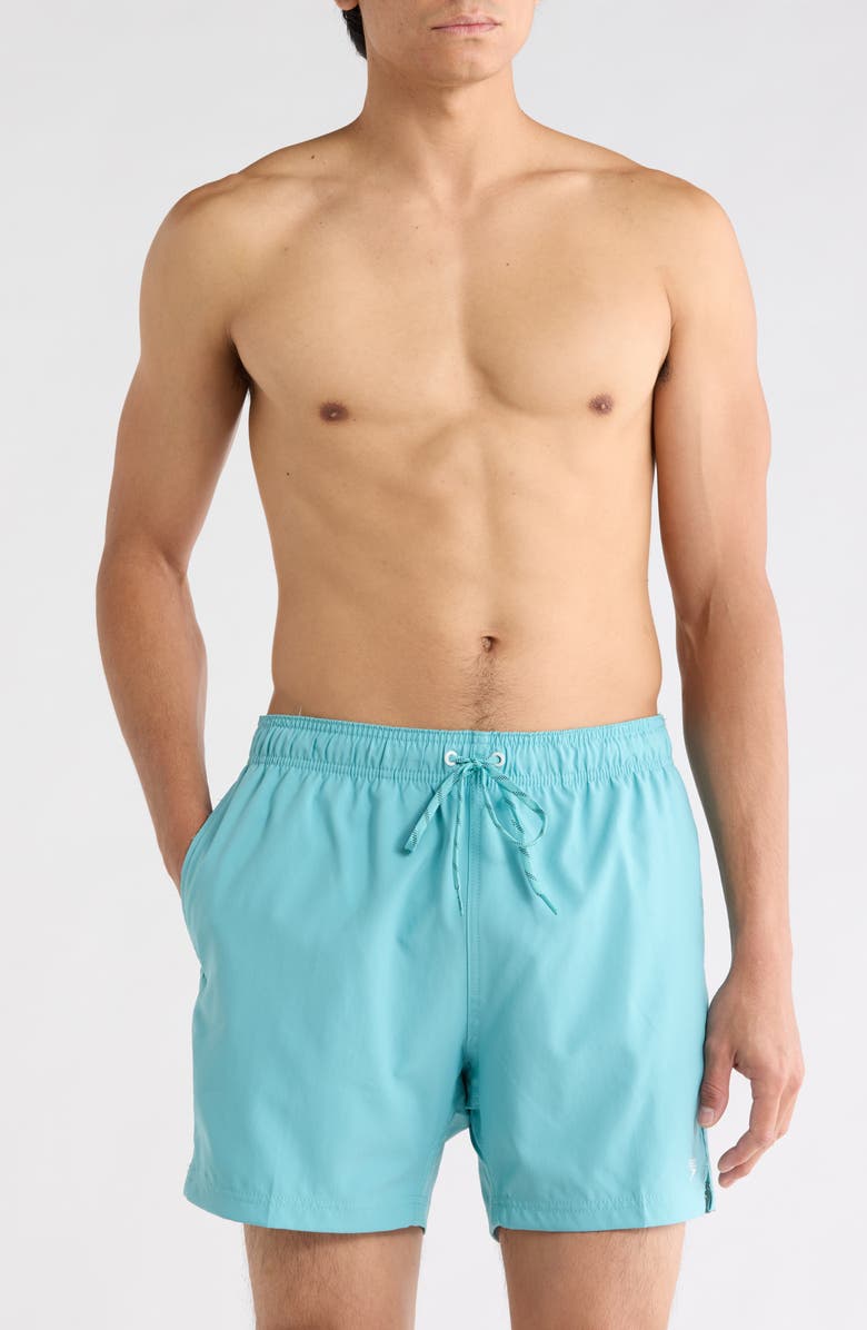 Speedo<sup>®</sup> Volley Swim Trunks, Main, color, Porcelain
