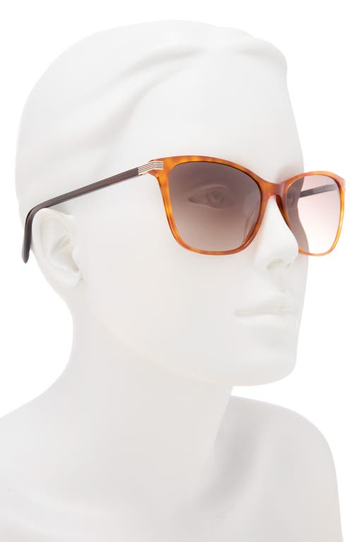 Ted Baker 57mm Gradient Square Sunglasses In Brown