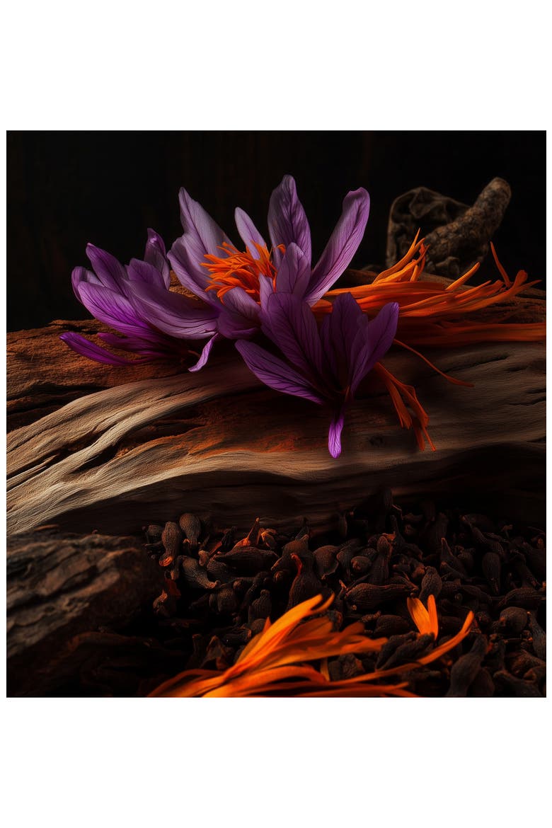 Dignified Parfum, Alternate, color, NO COLOR