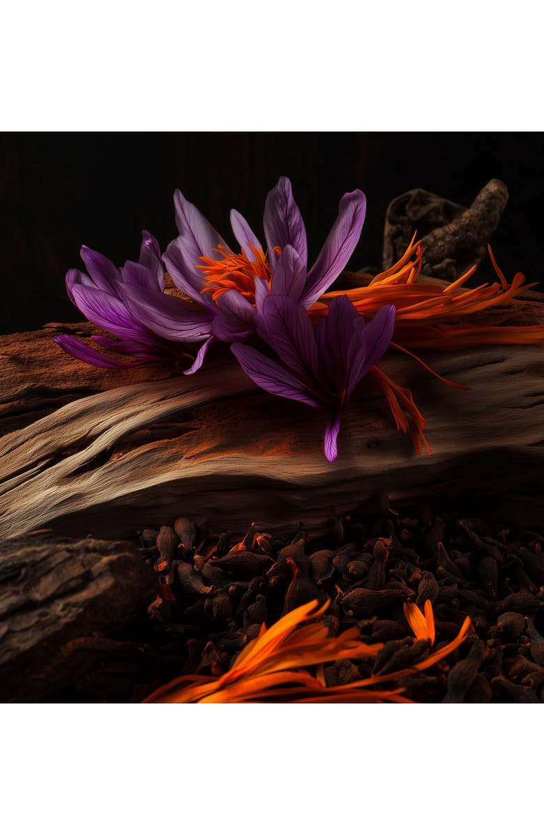 House of Sillage Dignified Parfum, Alternate, color, 