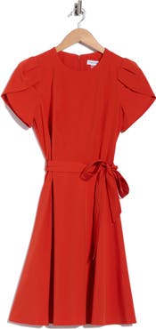 Calvin Klein Belted Pleated A Line Dress
