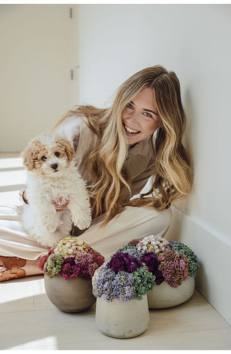 CocoBella Georgina Sedum Arrangement, Alternate, color, Charcoal