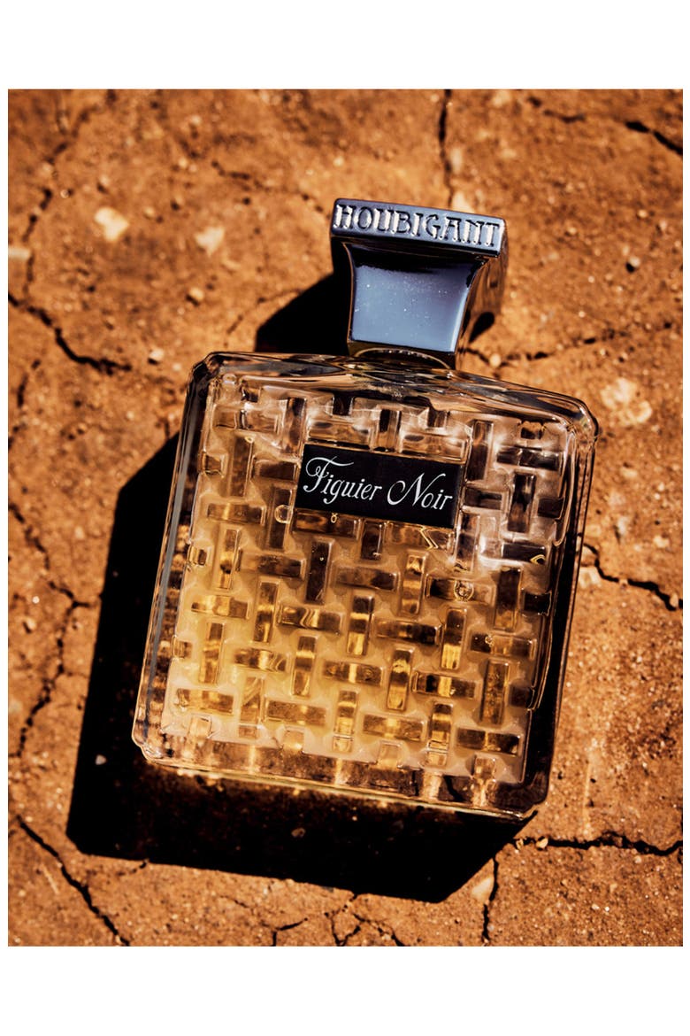 Figuier Noir Eau de Parfum, Alternate, color, NO COLOR