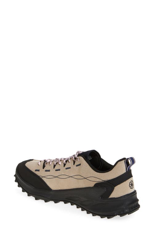 Keen Jasper Zionic Hiking Sneaker In Safari/pink-a-boo