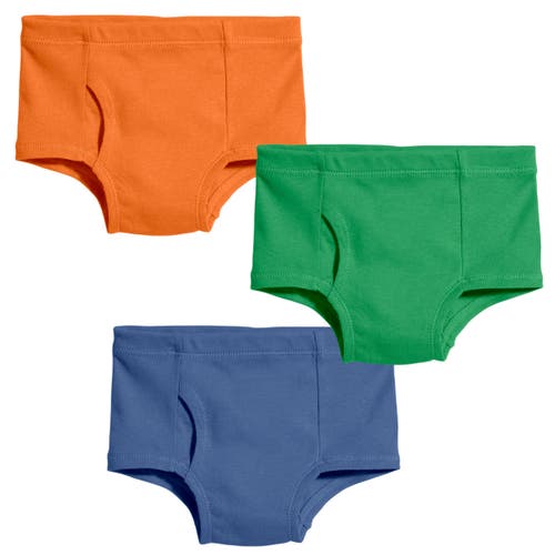 City Threads Usa-made Babies' Boys 100% Organic Cotton Briefs Underwear In Multi