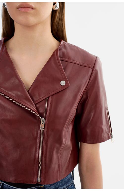 Lamarque Kirsi | Cropped Biker Jacket In Brown