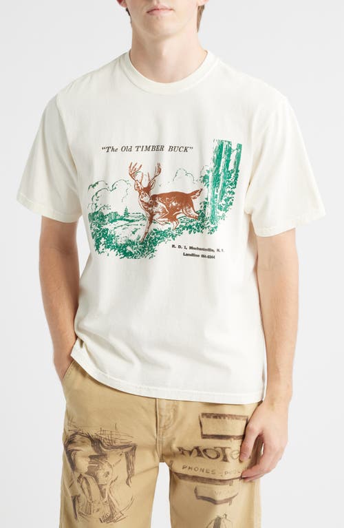ONE OF THESE DAYS Old Timber Buck Graphic T-Shirt in Bone  product