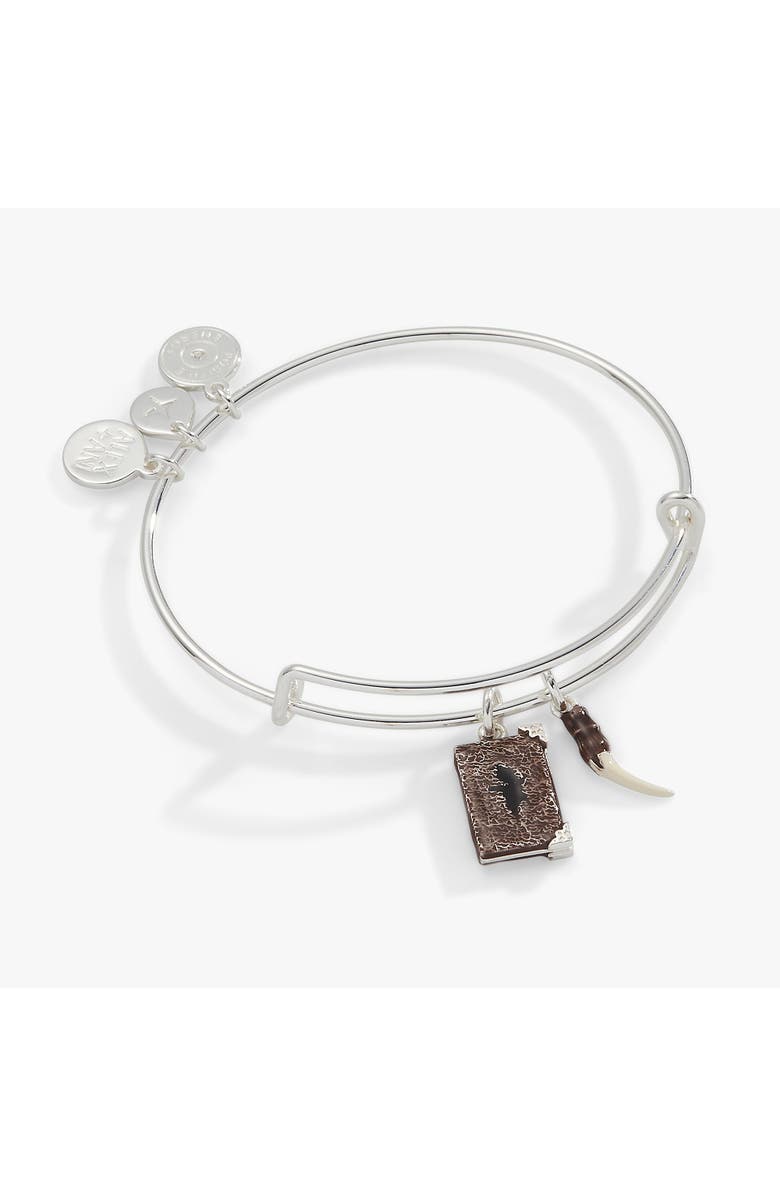 Alex and Ani Harry Potter<sup>™</sup> Diary And Basilisk Fang Bangle Bracelet, Main, color, Silver