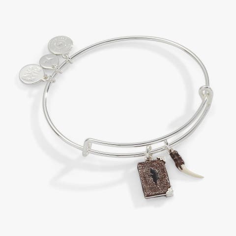 Harry Potter™ Diary And Basilisk Fang Bangle Bracelet