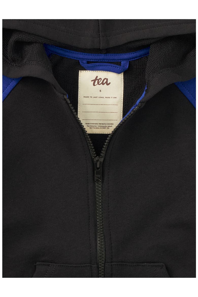 Colorblock Hoodie, Alternate, color, Jet Black