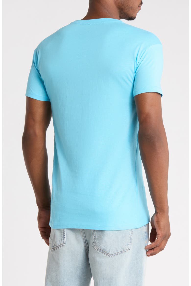 Oleanders Graphic Tee, Alternate, color, LIGHT BLUE