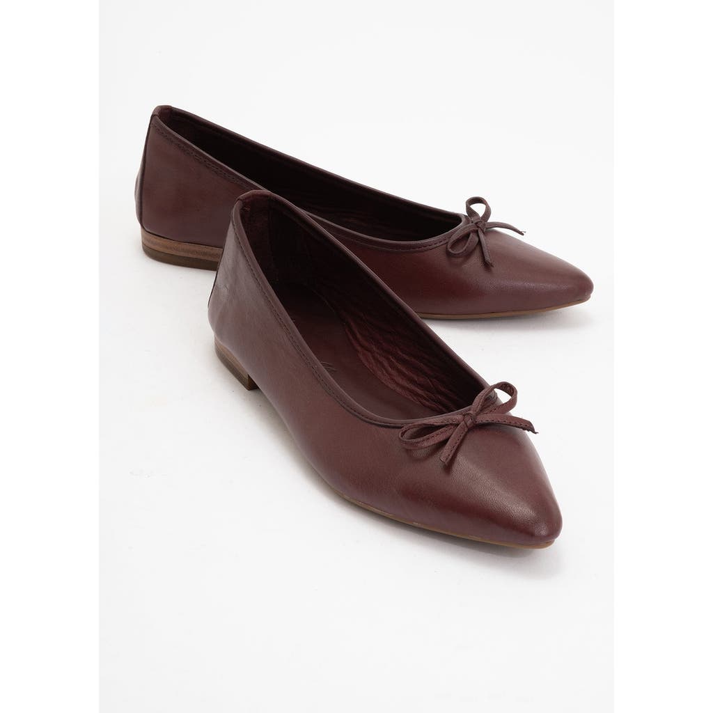 Forever & Always Shoes Ruby Leather Pointed Toe Flats In Burgundy Brown Leather