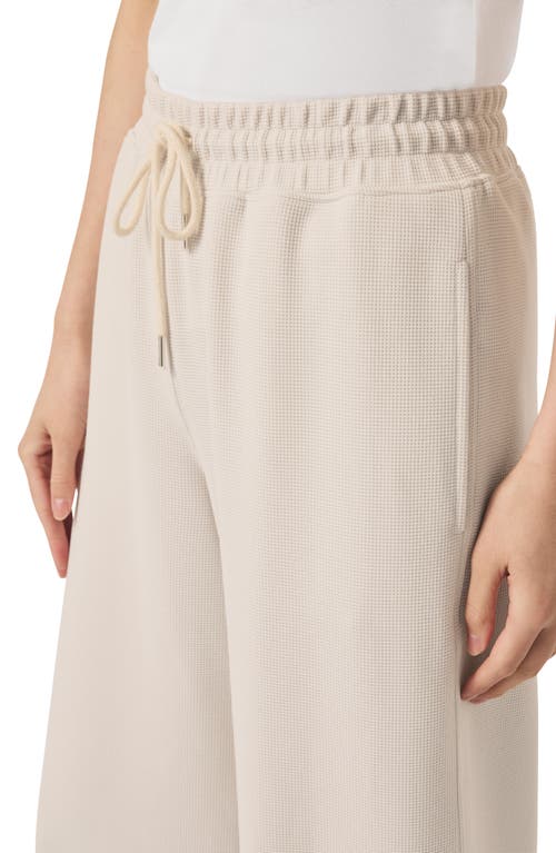 Splendid Waffle Scuba Pants In Moonstone