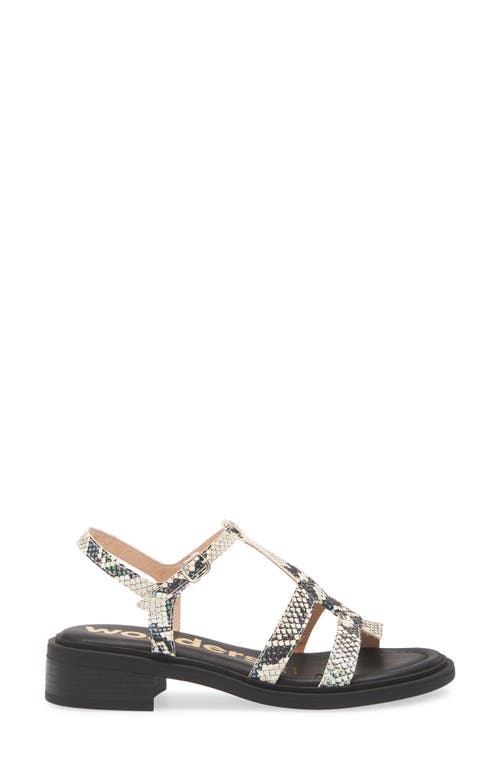Wonders Janet Strappy Sandal In Snake Off White