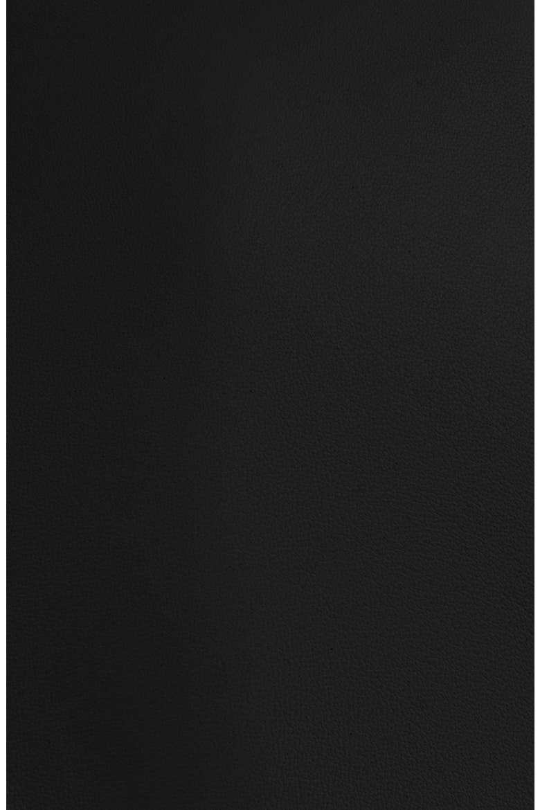 Fitted Double Breasted Leather Blazer, Alternate, color, 0PA BLACK