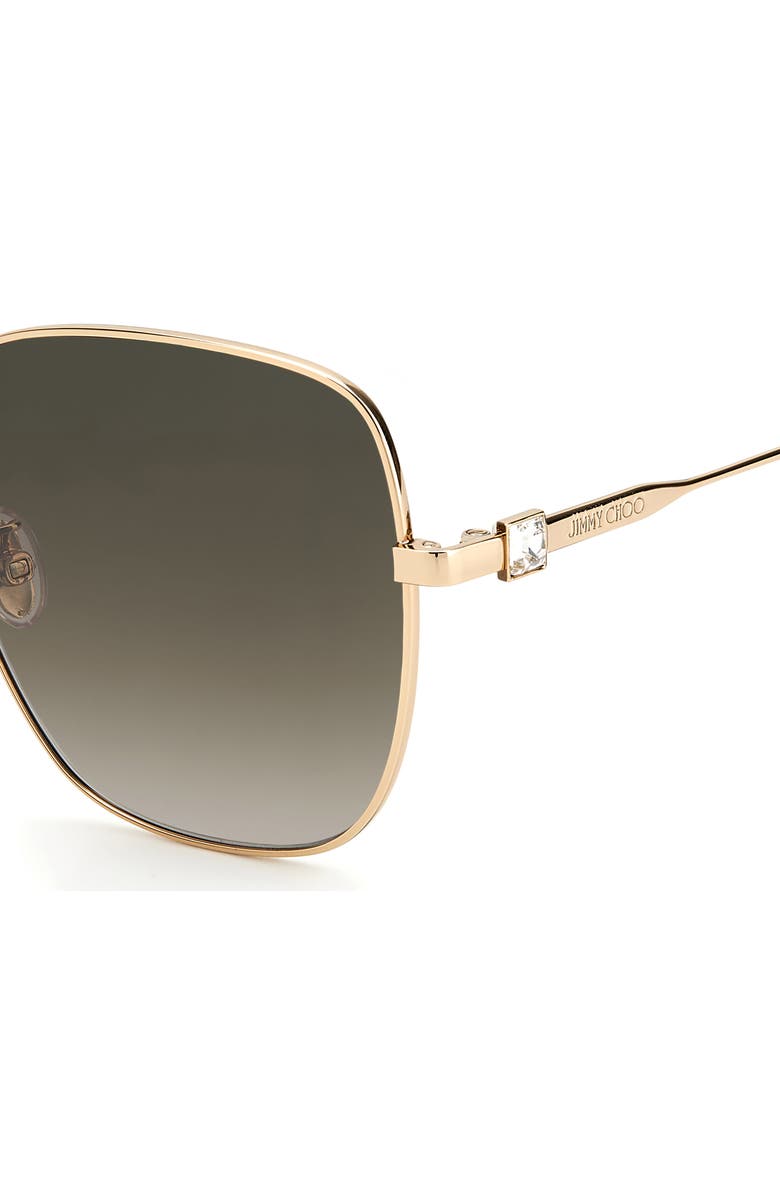 Jimmy Choo 60mm Oversize Rounded Sunglasses, Alternate, color, 
