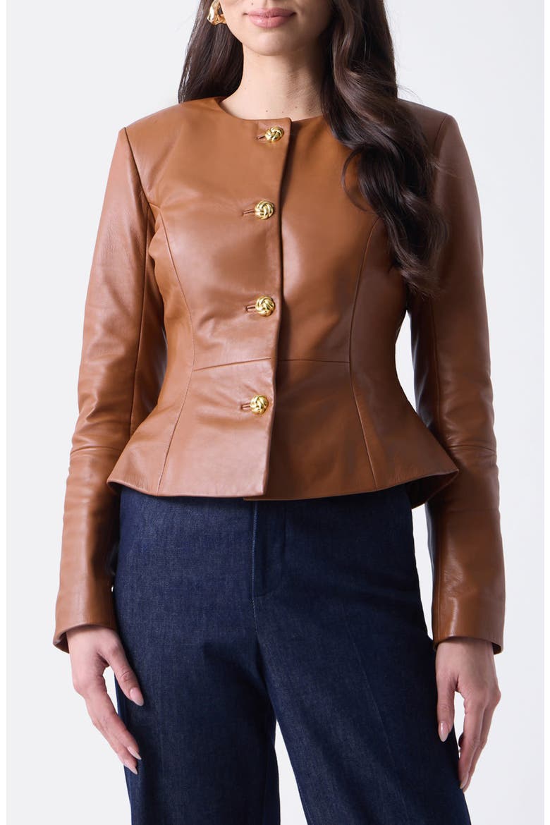 Cara Leather Jacket, Main, color, BROWN