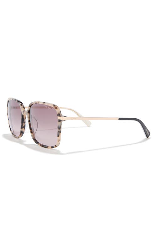 Ted Baker 57mm Gradient Square Sunglasses