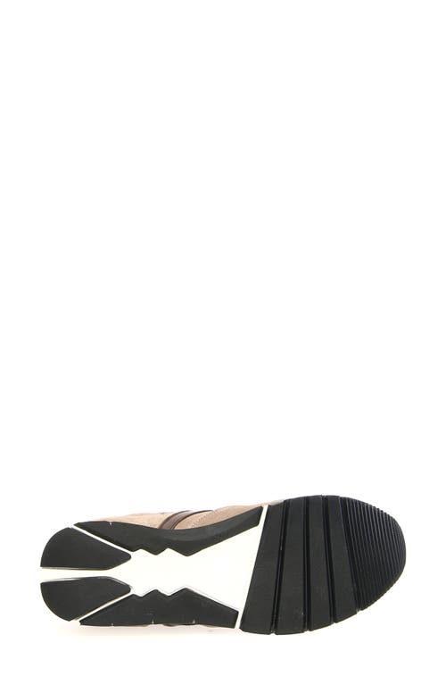 Voile Blanche Julia Sneaker In Brown