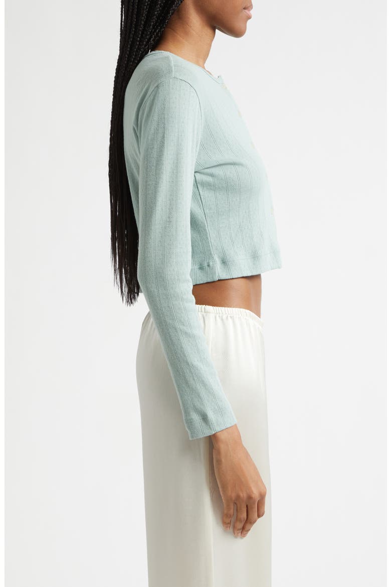 Cotton Pointelle Crop Cardigan, Alternate, color, EUCALYPTUS