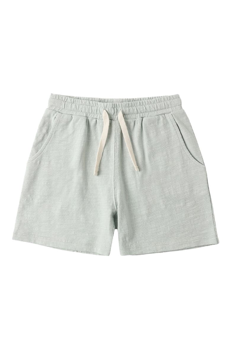 Sam Slub Cotton Shorts, Alternate, color, SEAFOAM