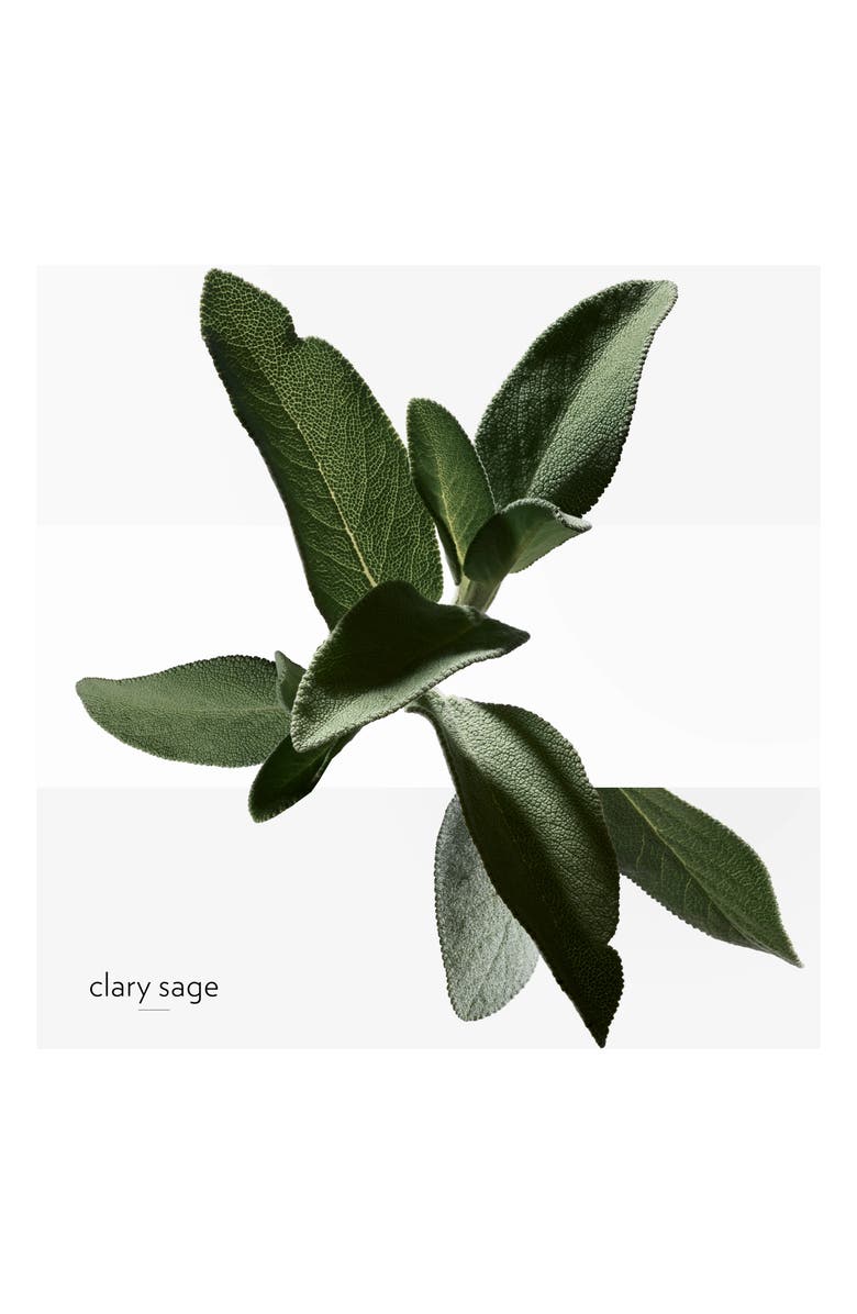 Hermès H24 Eau de Toilette Gift Set, Alternate, color, 