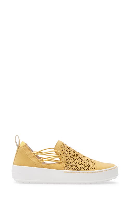 Jambu Erin Sneaker In Multi