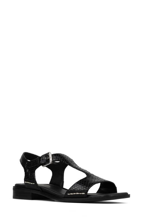 DONALD PLINER DONALD PLINER DRIA T-STRAP SANDAL 